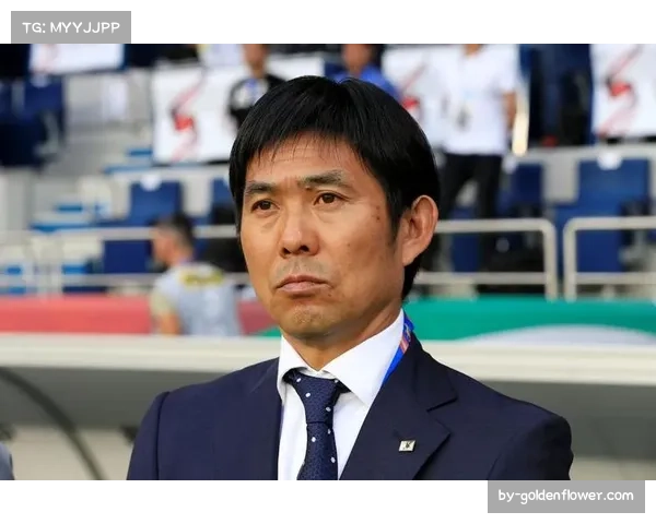 日本瑞典亚洲技术流北欧纪律 森保一战术面临伊布接班人冲击